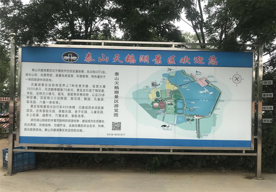 天鵝湖風(fēng)景區(qū)（泰山）速覽！(圖2)