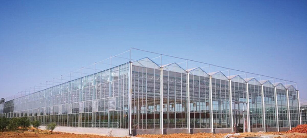 信橋鋼構(gòu)：打卡蒙陰農(nóng)業(yè)溫室大棚、青州黑牛養(yǎng)殖基地！(圖2)